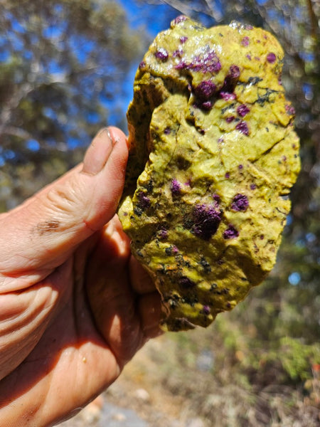 Rough Stichtite in Serpentine (Atlantisite) STR138