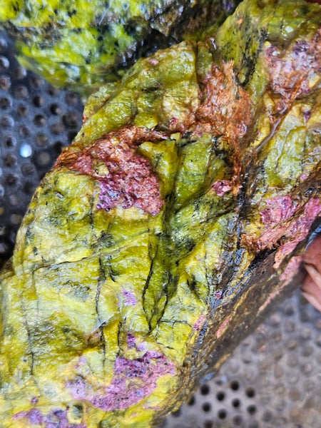 Rough Stichtite in Serpentine (Atlantisite) STR138