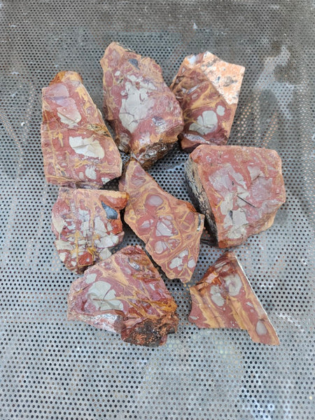 Noreena Jasper rough NJR193