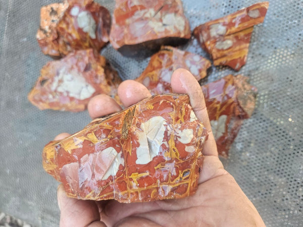 Noreena Jasper rough NJR193