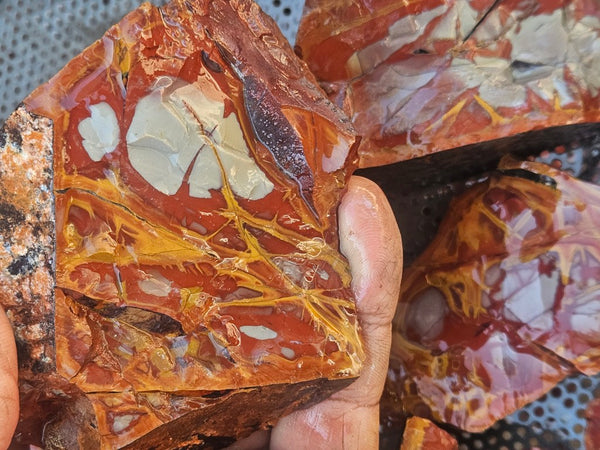 Noreena Jasper rough NJR193