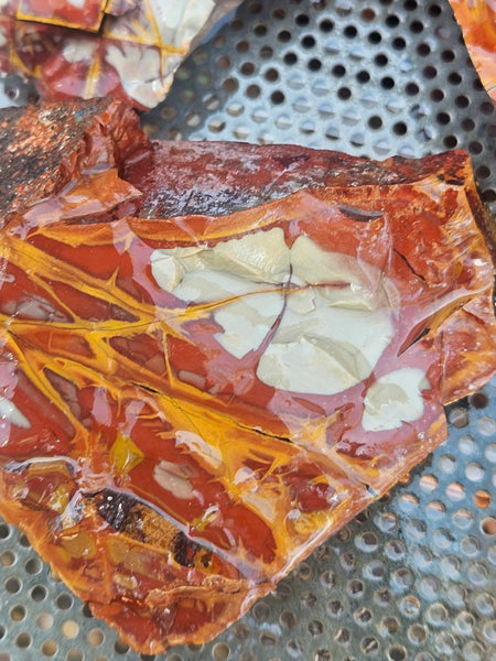 Noreena Jasper rough NJR193