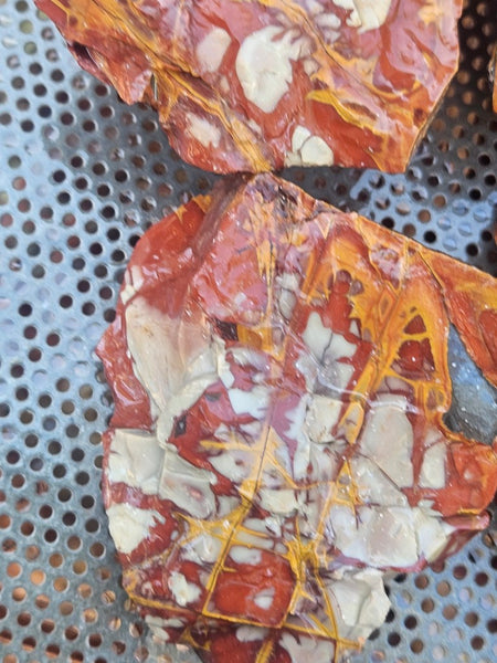 Noreena Jasper rough NJR193