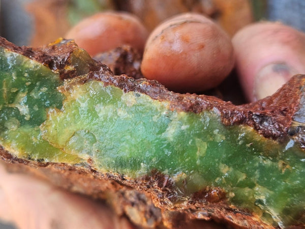 Chrysoprase rough.  CHR 211