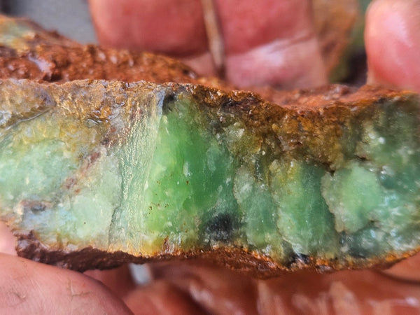 Chrysoprase rough.  CHR 211