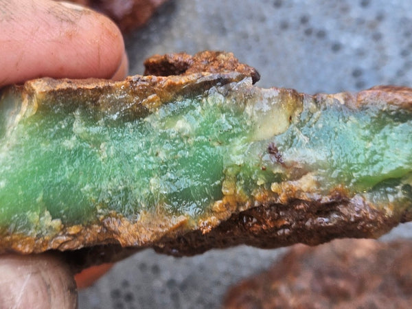 Chrysoprase rough.  CHR 211