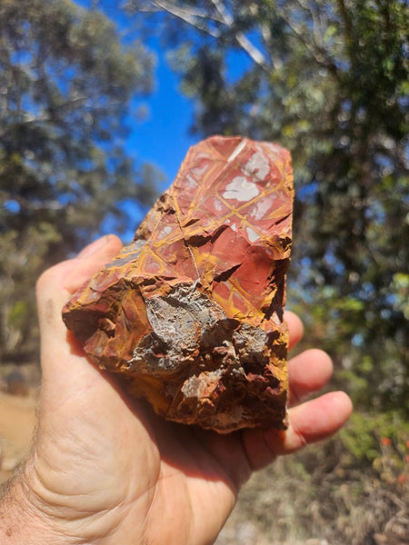 Noreena Jasper rough NJR192