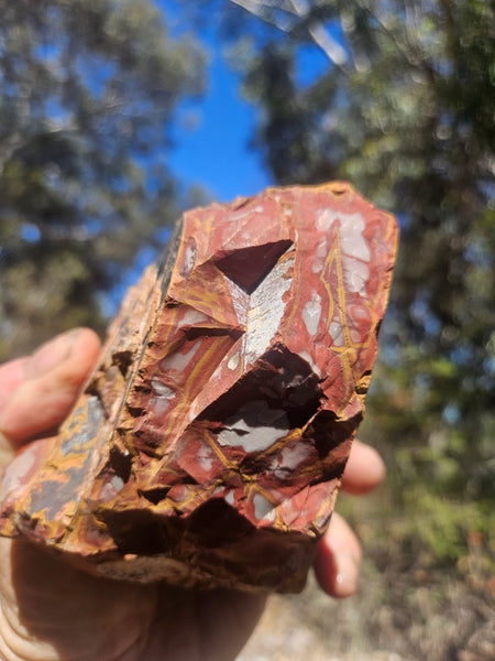 Noreena Jasper rough NJR192