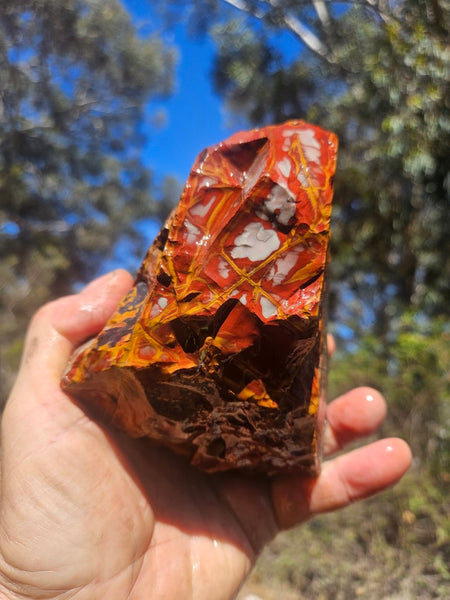 Noreena Jasper rough NJR192