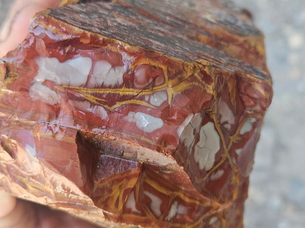 Noreena Jasper rough NJR192