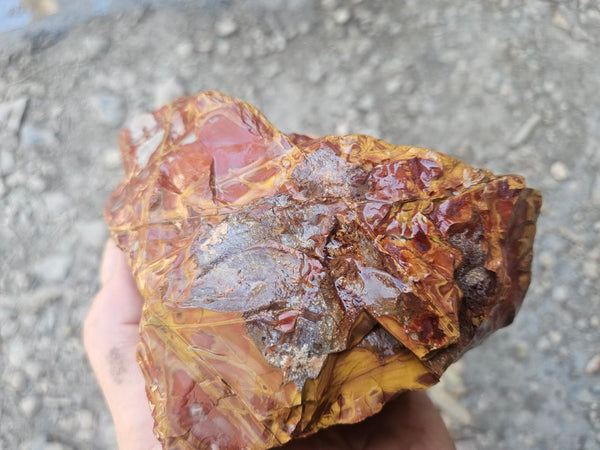 Noreena Jasper rough NJR192