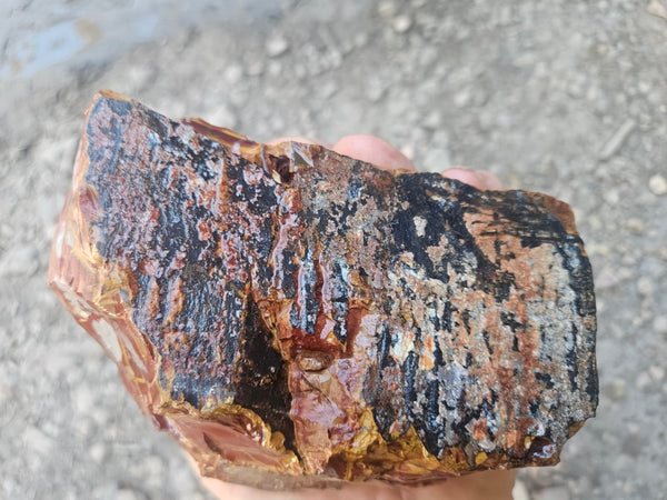 Noreena Jasper rough NJR192