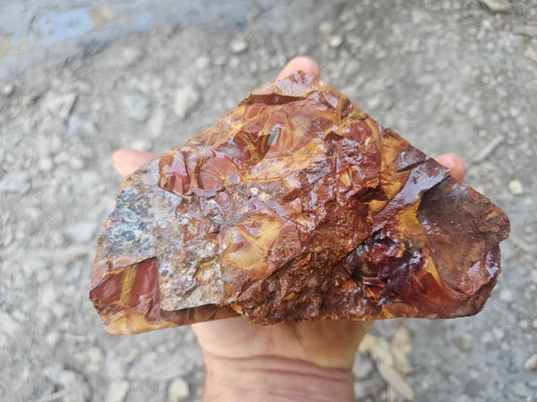 Noreena Jasper rough NJR192