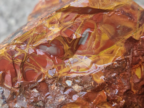 Noreena Jasper rough NJR192