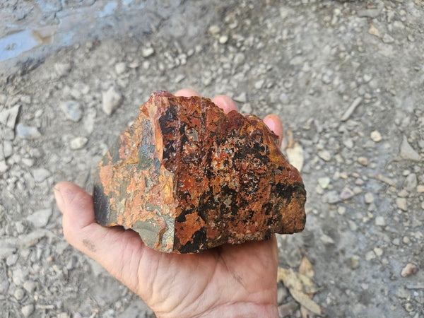 Noreena Jasper rough NJR192