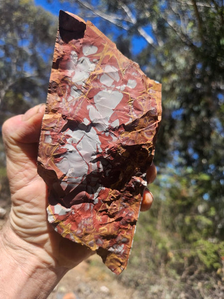 Noreena Jasper rough NJR191