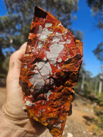 Noreena Jasper rough NJR191