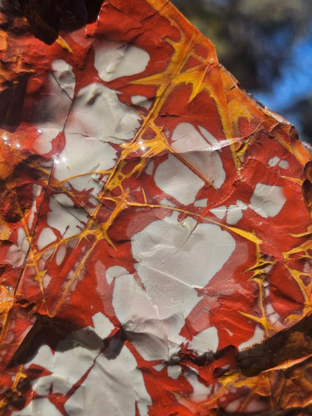 Noreena Jasper rough NJR191