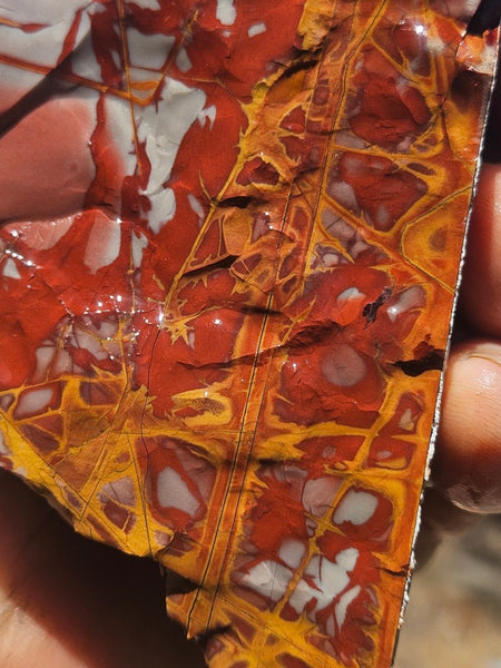 Noreena Jasper rough NJR191