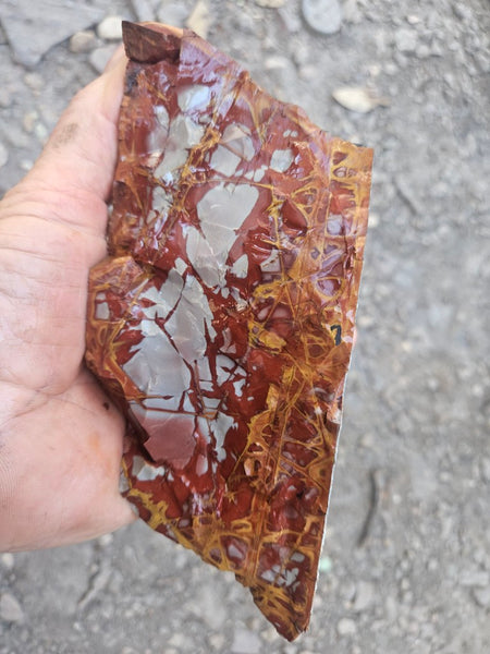 Noreena Jasper rough NJR191