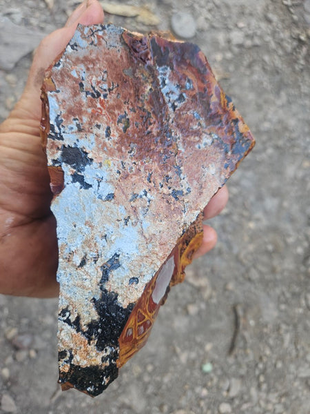 Noreena Jasper rough NJR191