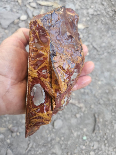 Noreena Jasper rough NJR191