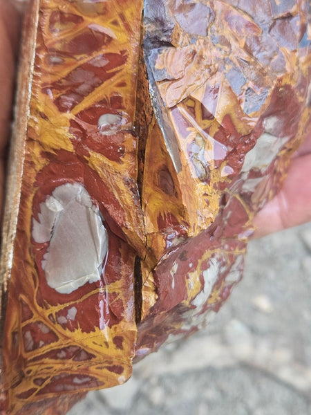 Noreena Jasper rough NJR191