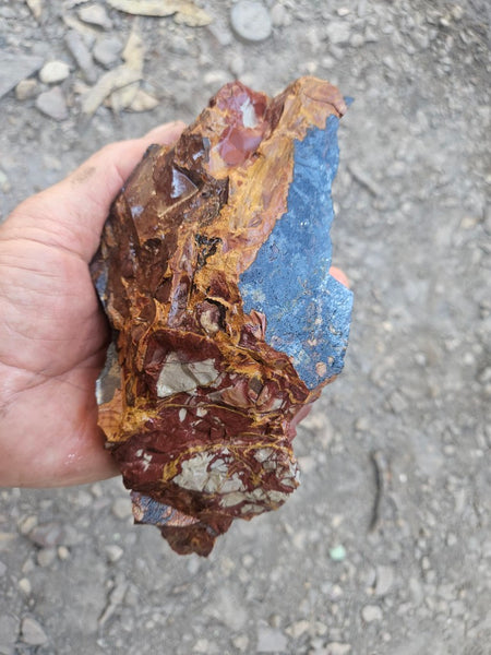 Noreena Jasper rough NJR191