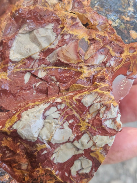 Noreena Jasper rough NJR191