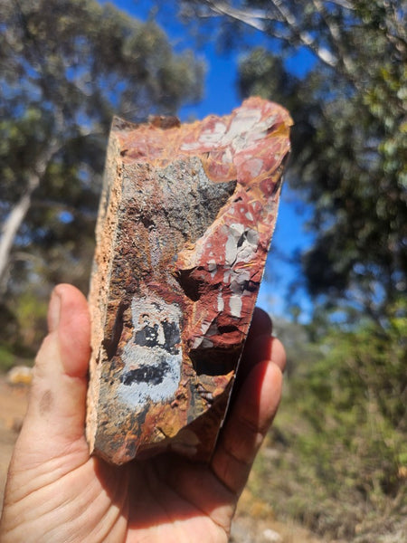 Noreena Jasper rough NJR190