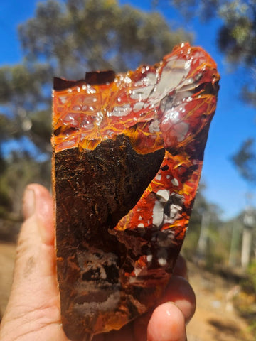 Noreena Jasper rough NJR190