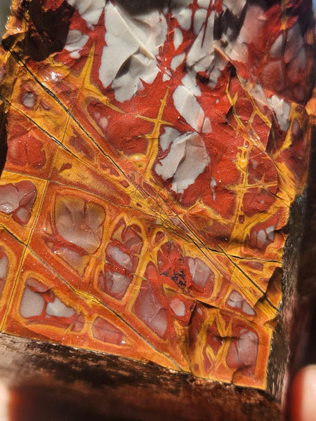 Noreena Jasper rough NJR190