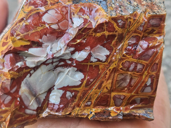 Noreena Jasper rough NJR190