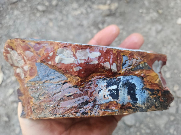 Noreena Jasper rough NJR190