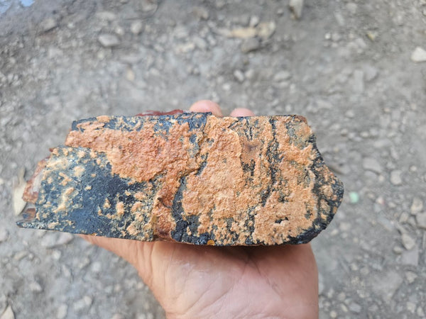 Noreena Jasper rough NJR190