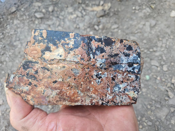 Noreena Jasper rough NJR190