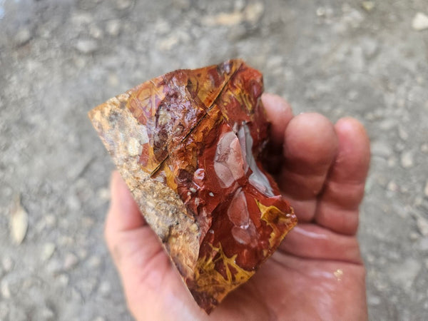 Noreena Jasper rough NJR190