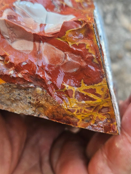 Noreena Jasper rough NJR190