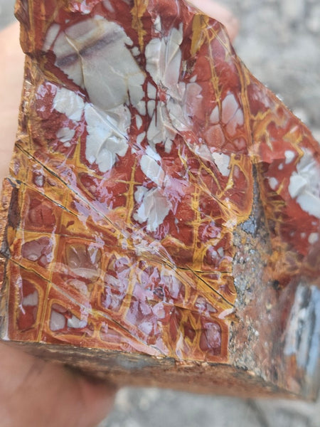 Noreena Jasper rough NJR190