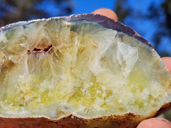 Polished Prehnite PR134