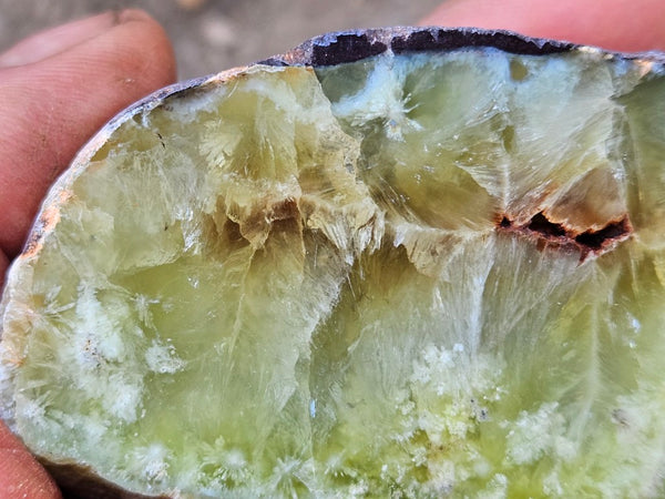 Polished Prehnite PR134