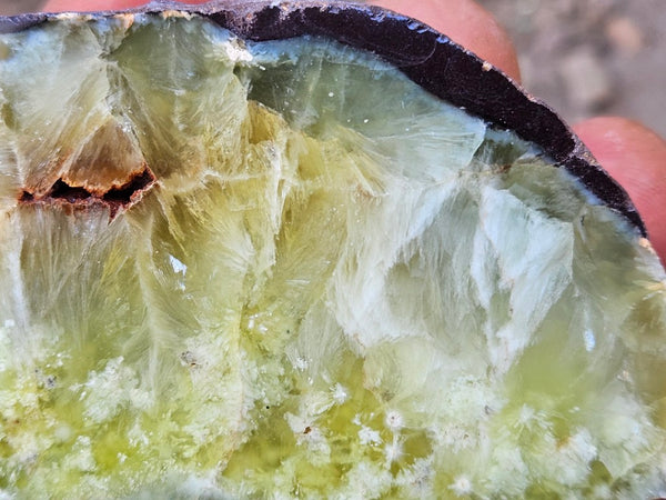 Polished Prehnite PR134