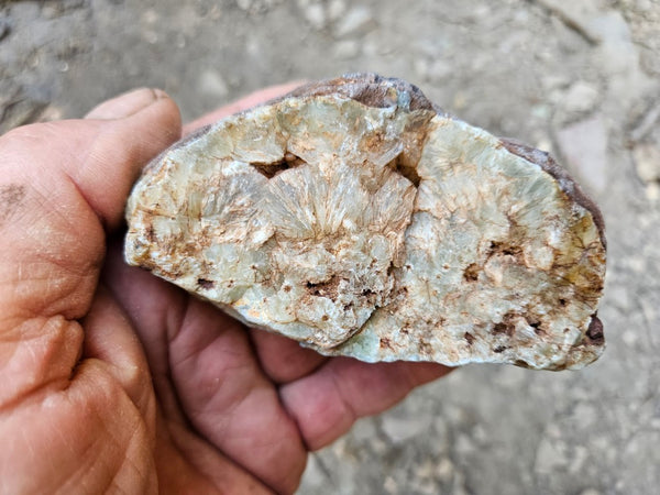 Polished Prehnite PR134