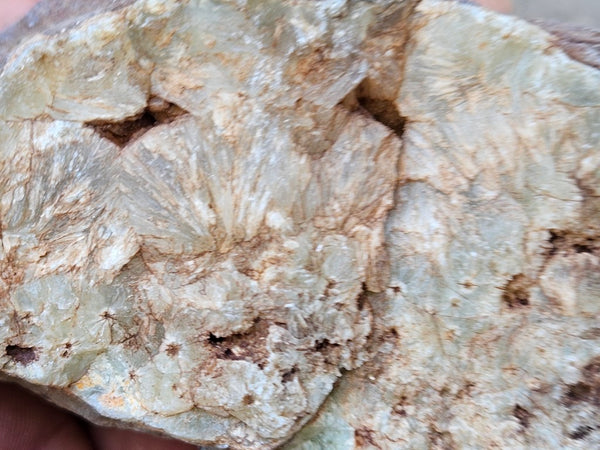 Polished Prehnite PR134