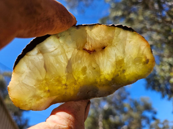 Polished Prehnite slab PR135