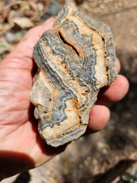 Wyloo Agate rough . WAR115