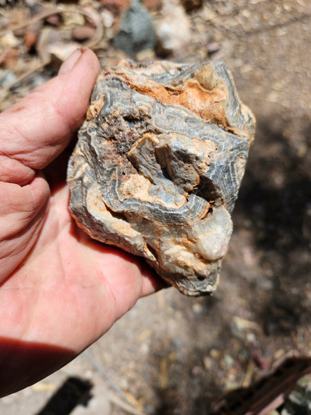 Wyloo Agate rough . WAR115