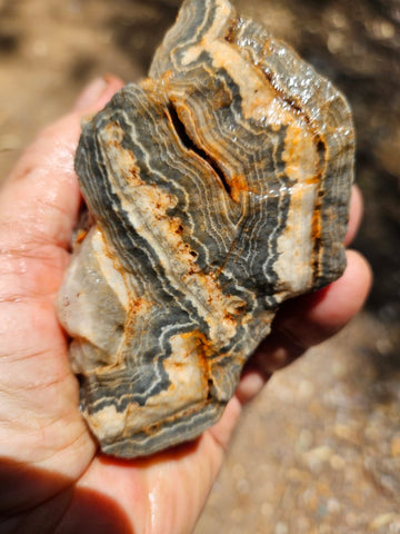 Wyloo Agate rough . WAR115