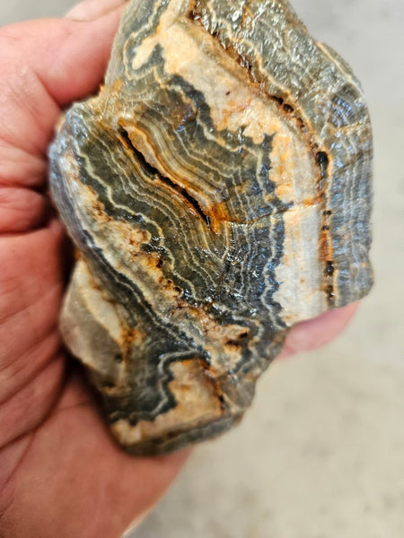 Wyloo Agate rough . WAR115