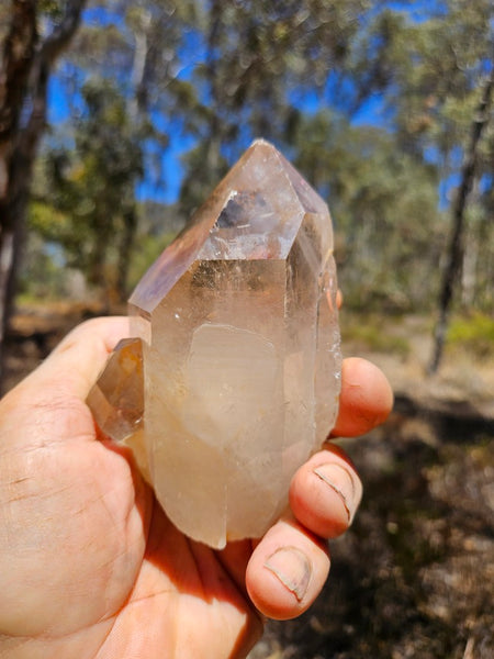West Australian Quartz crystal . XL119